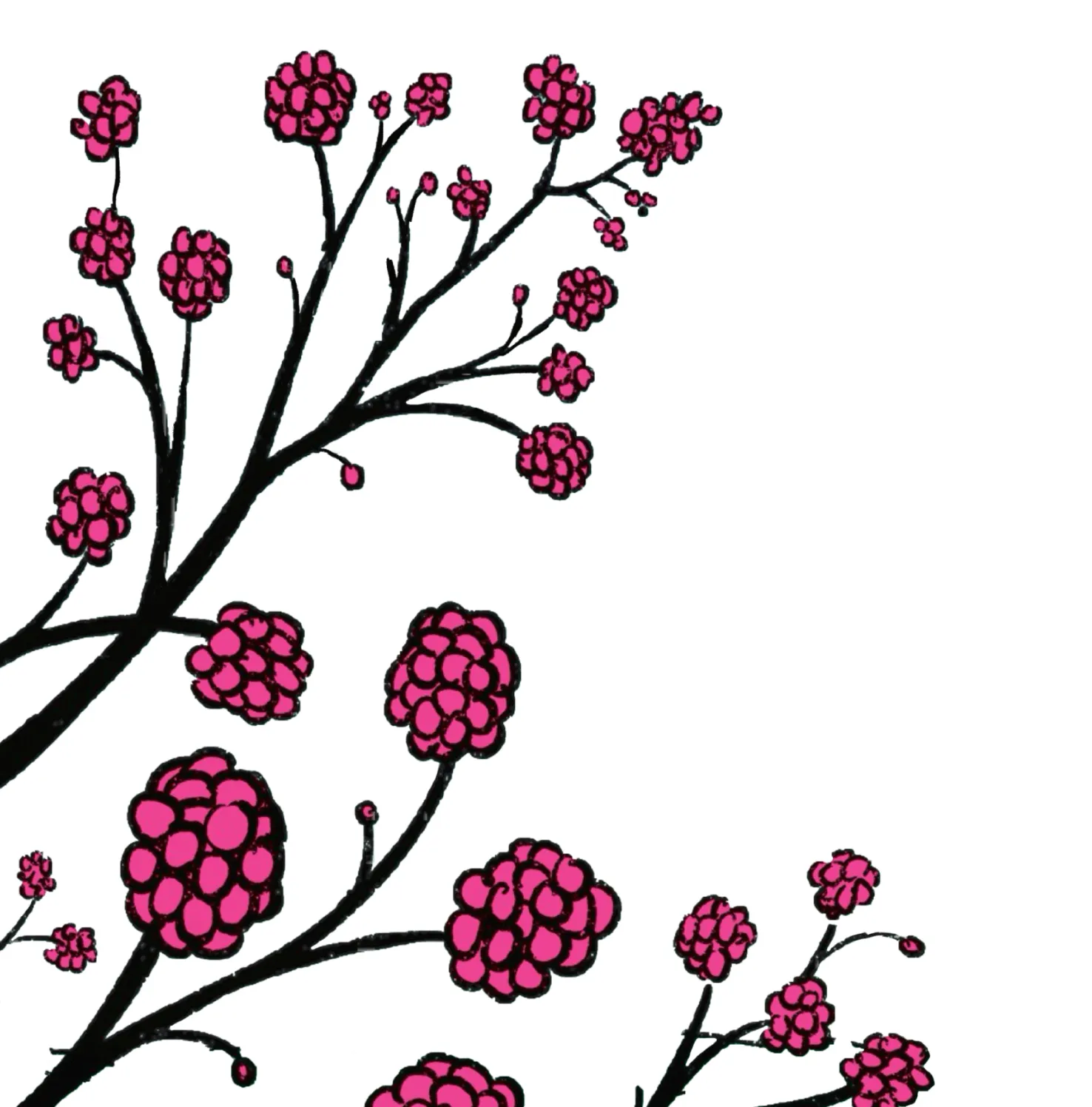 Gooseberries