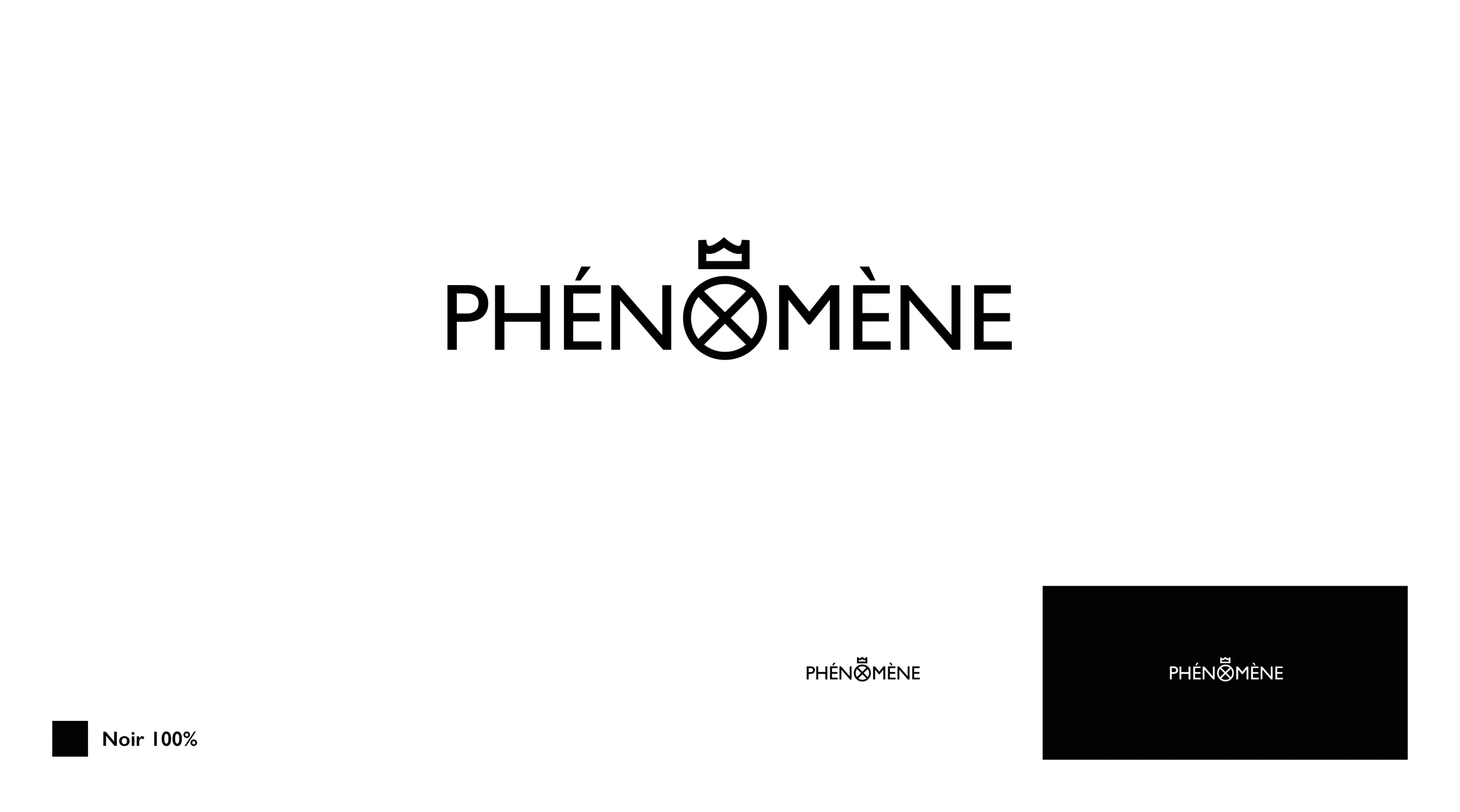 Logo information